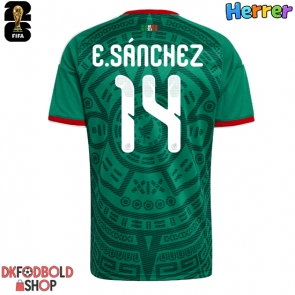 Mexico Erick Sanchez #14 Hjemmebanetrøje VM 2026 Kort ærmer